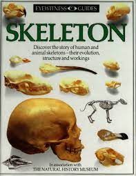 Collins Eyewitness guides: Skeleton